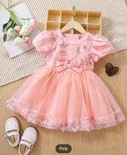 Load image into Gallery viewer, (PREORDER) Girls Flower Embroidery Dress
