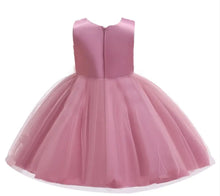 Load image into Gallery viewer, (PREORDER) Girls Mesh Princess Dress
