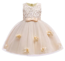 Load image into Gallery viewer, (PREORDER) Girls Mesh Princess Dress
